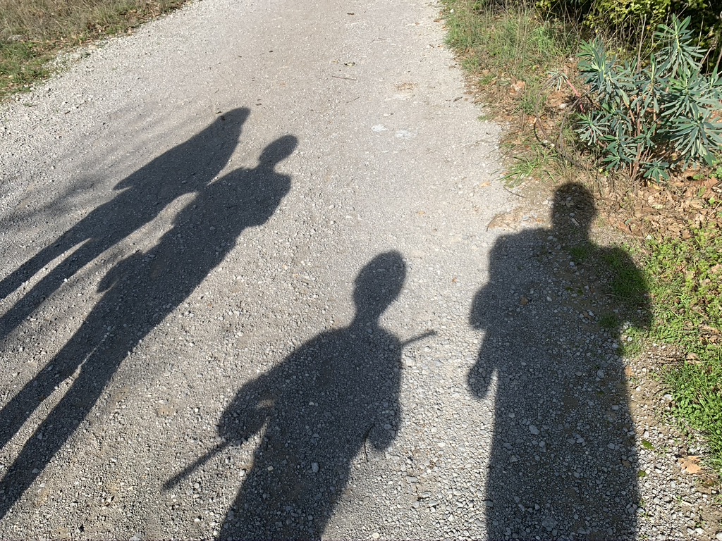 Unsere Familie, als lange Schatten auf einem Feldweg